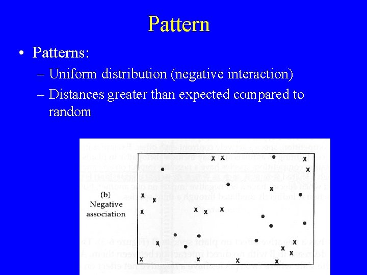 Pattern • Patterns: – Uniform distribution (negative interaction) – Distances greater than expected compared