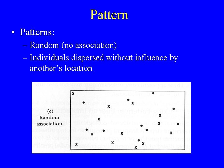 Pattern • Patterns: – Random (no association) – Individuals dispersed without influence by another’s