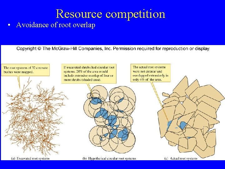 Resource competition • Avoidance of root overlap 