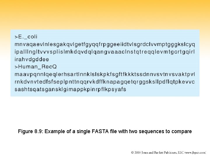 Figure 8. 9: Example of a single FASTA file with two sequences to compare