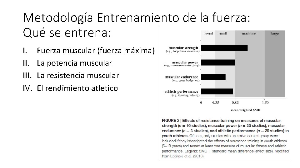 Metodología Entrenamiento de la fuerza: Qué se entrena: I. III. IV. Fuerza muscular (fuerza Metodología Entrenamiento de la fuerza: Qué se entrena: I. III. IV. Fuerza muscular (fuerza