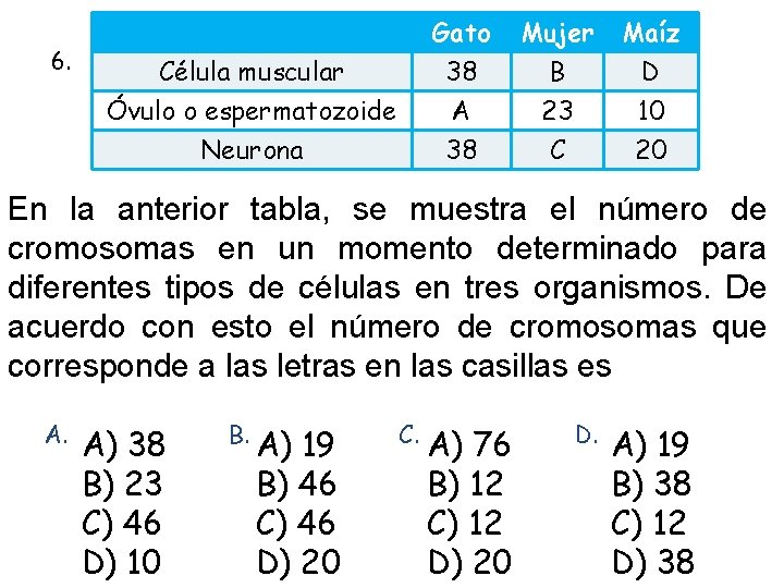 6. Gato 38 A 38 Célula muscular Óvulo o espermatozoide Neurona Mujer B 23