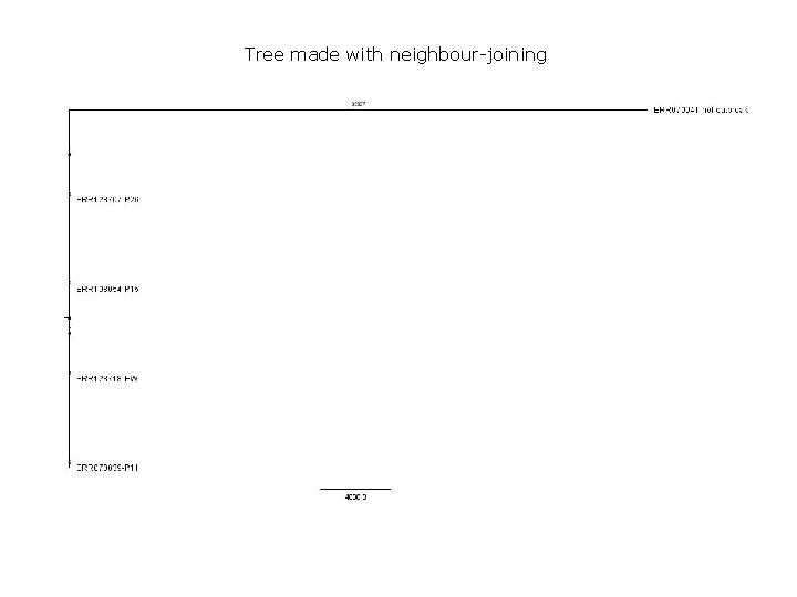 Tree made with neighbour-joining 