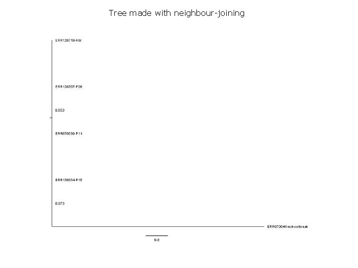 Tree made with neighbour-joining 