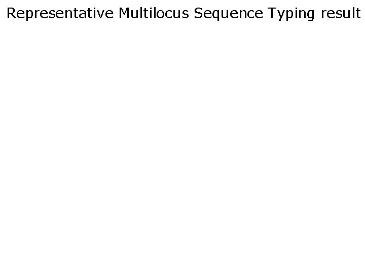 Representative Multilocus Sequence Typing result 