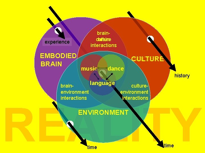 experience EMBODIED BRAIN brain culture interactions CULTURE SOCIETY music dance history language braincultureenvironment interactions