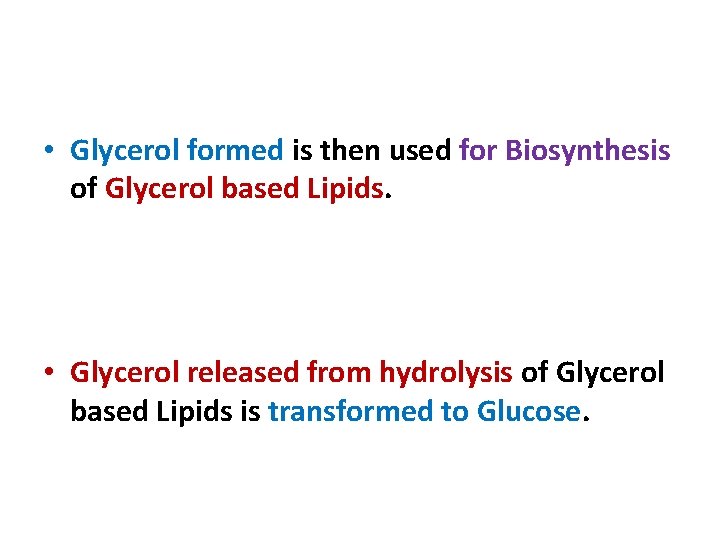  • Glycerol formed is then used for Biosynthesis of Glycerol based Lipids. •