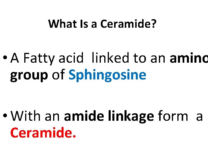 What Is a Ceramide? • A Fatty acid linked to an amino group of