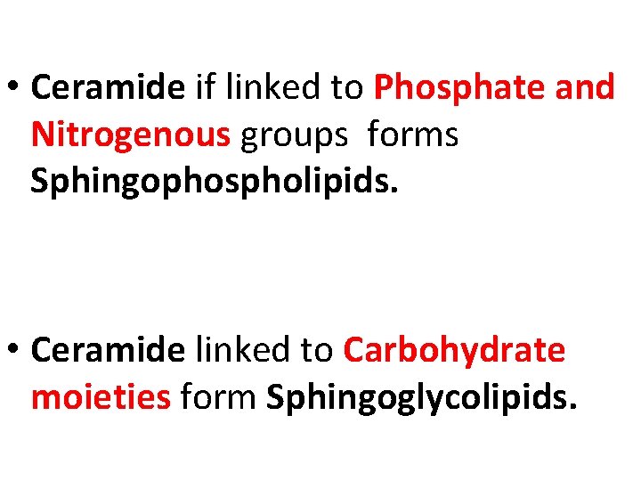  • Ceramide if linked to Phosphate and Nitrogenous groups forms Sphingophospholipids. • Ceramide