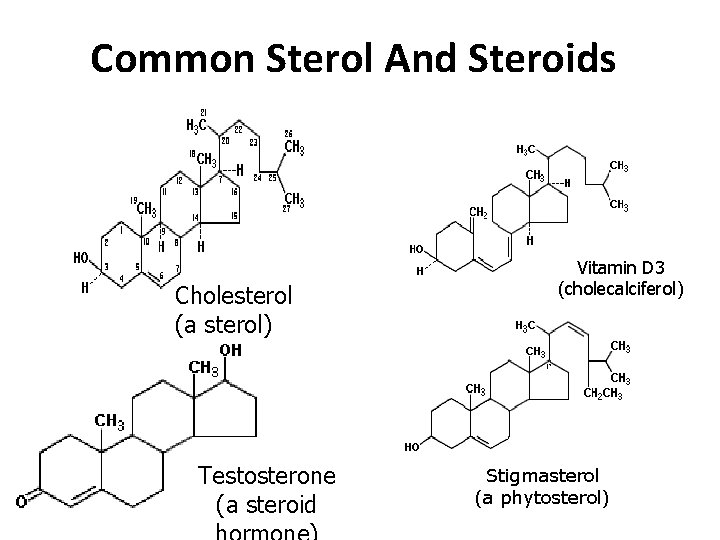 Common Sterol And Steroids Vitamin D 3 (cholecalciferol) Cholesterol (a sterol) Testosterone (a steroid