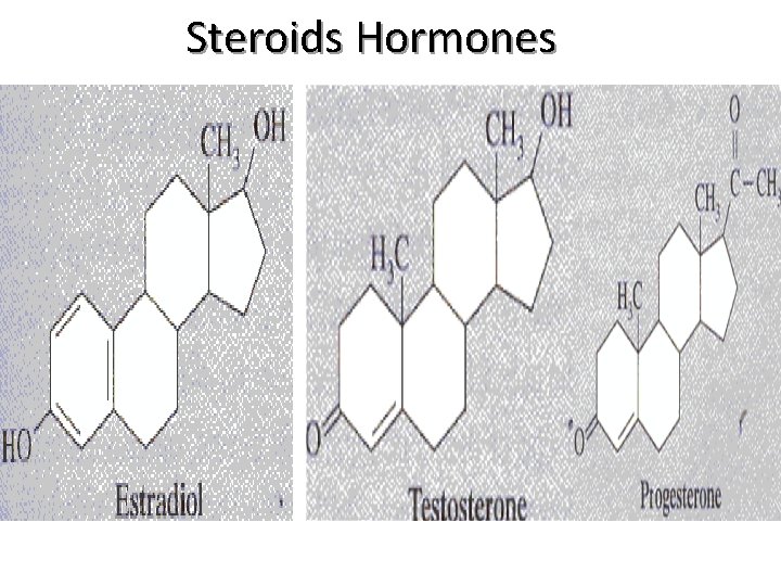 Steroids Hormones 