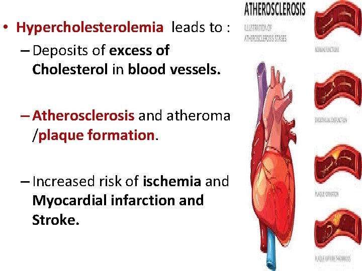  • Hypercholesterolemia leads to : – Deposits of excess of Cholesterol in blood