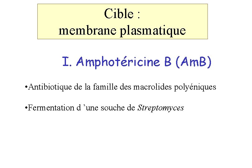 Cible : membrane plasmatique I. Amphotéricine B (Am. B) • Antibiotique de la famille