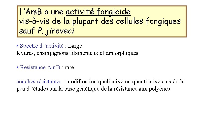 l ’Am. B a une activité fongicide vis-à-vis de la plupart des cellules fongiques