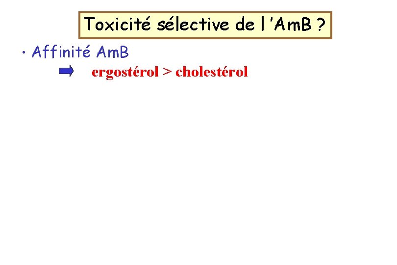 Toxicité sélective de l ’Am. B ? • Affinité Am. B ergostérol > cholestérol