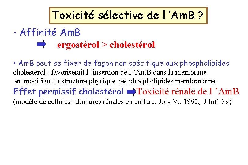 Toxicité sélective de l ’Am. B ? • Affinité Am. B ergostérol > cholestérol