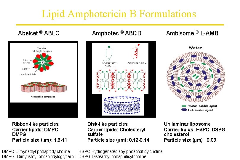 Lipid Amphotericin B Formulations Abelcet ® ABLC Ribbon-like particles Carrier lipids: DMPC, DMPG Particle