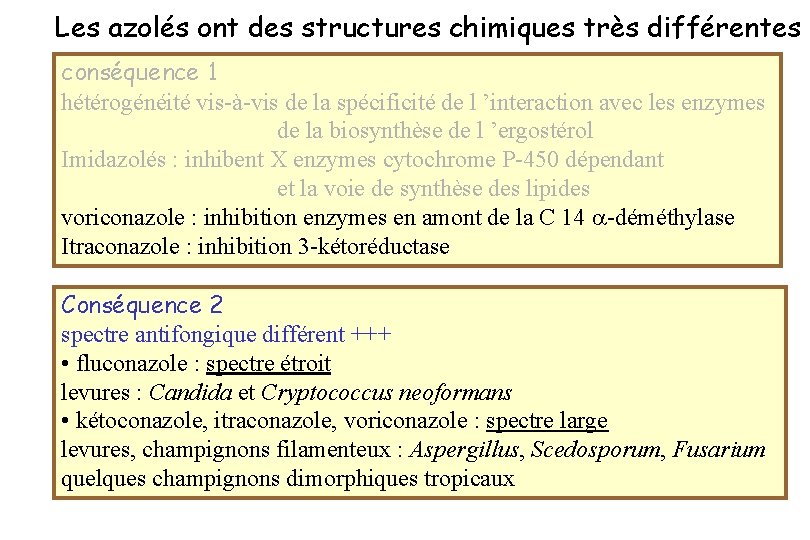 Les azolés ont des structures chimiques très différentes conséquence 1 hétérogénéité vis-à-vis de la