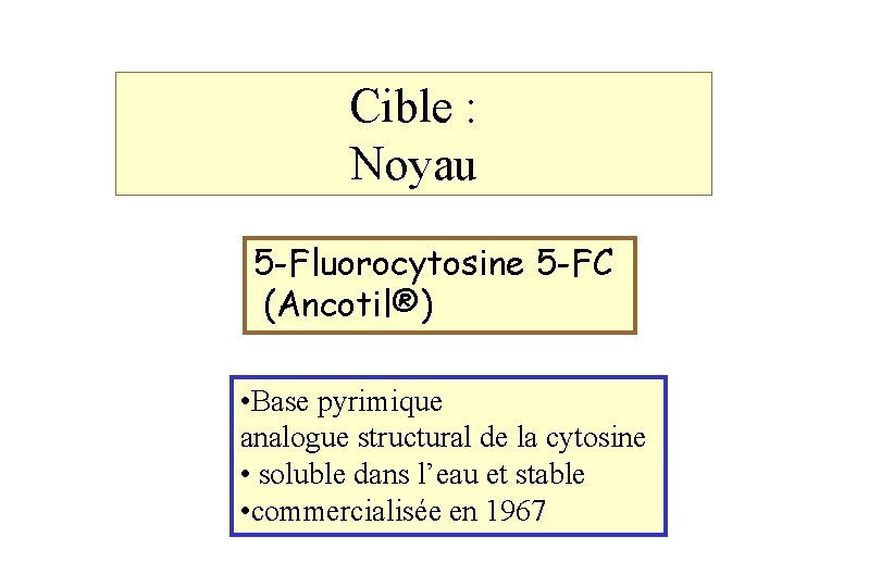 Cible : Noyau 5 -Fluorocytosine 5 -FC (Ancotil®) • Base pyrimique analogue structural de