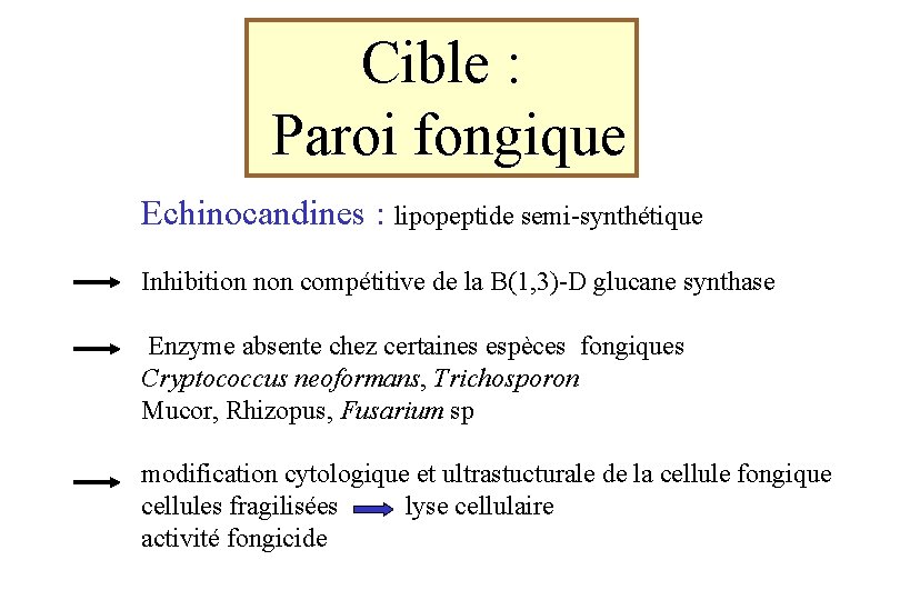 Cible : Paroi fongique Echinocandines : lipopeptide semi-synthétique Inhibition non compétitive de la B(1,