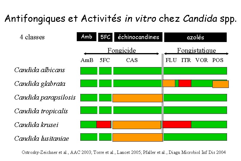 Antifongiques et Activités in vitro chez Candida spp. 4 classes Amb 5 FC échinocandines