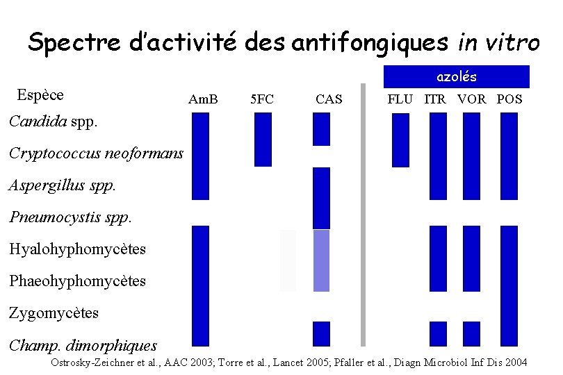Spectre d’activité des antifongiques in vitro Espèce azolés Am. B 5 FC CAS FLU