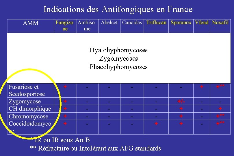 Indications des Antifongiques en France Hyalohyphomycoses Zygomycoses Phaeohyphomycoses * IR ou IR sous Am.