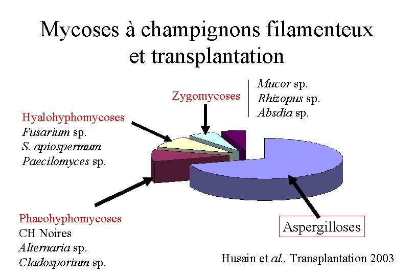 Mycoses à champignons filamenteux et transplantation Zygomycoses Hyalohyphomycoses Fusarium sp. S. apiospermum Paecilomyces sp.
