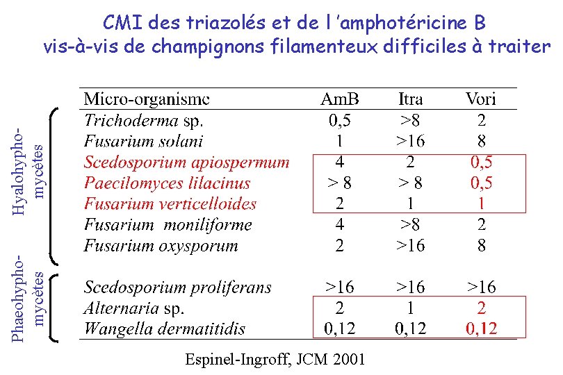 Phaeohyphomycètes Hyalohyphomycètes CMI des triazolés et de l ’amphotéricine B vis-à-vis de champignons filamenteux