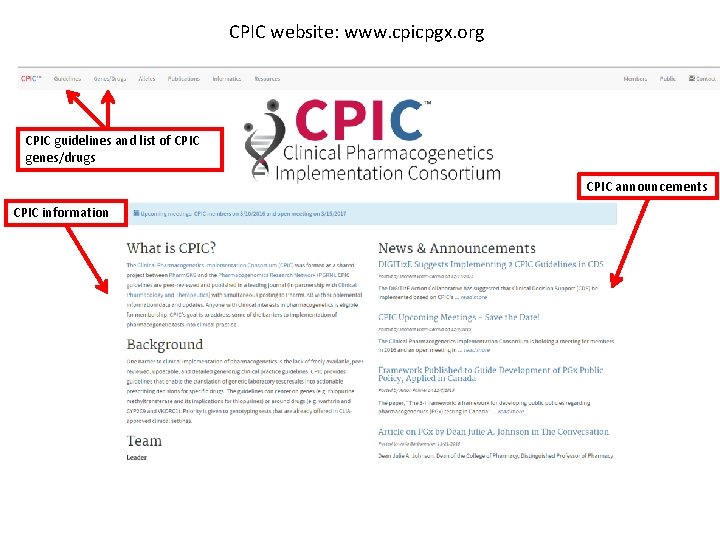 CPIC website: www. cpicpgx. org CPIC guidelines and list of CPIC genes/drugs CPIC announcements
