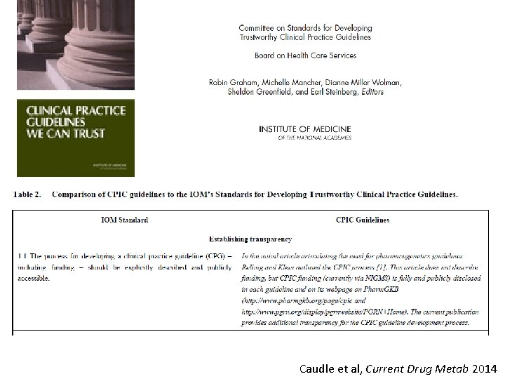 Caudle et al, Current Drug Metab 2014 