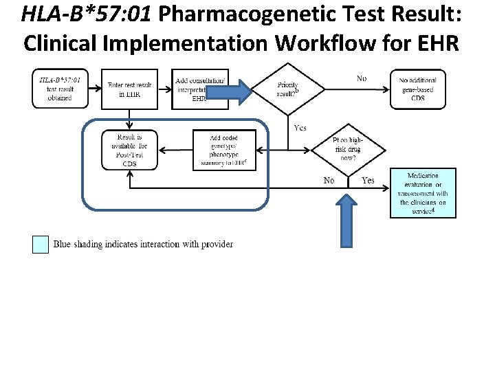 HLA-B*57: 01 Pharmacogenetic Test Result: Clinical Implementation Workflow for EHR 