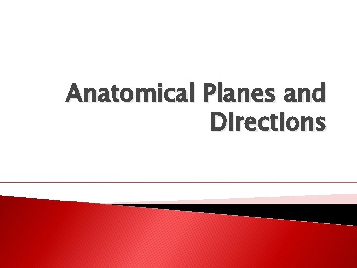 Anatomical Planes and Directions 