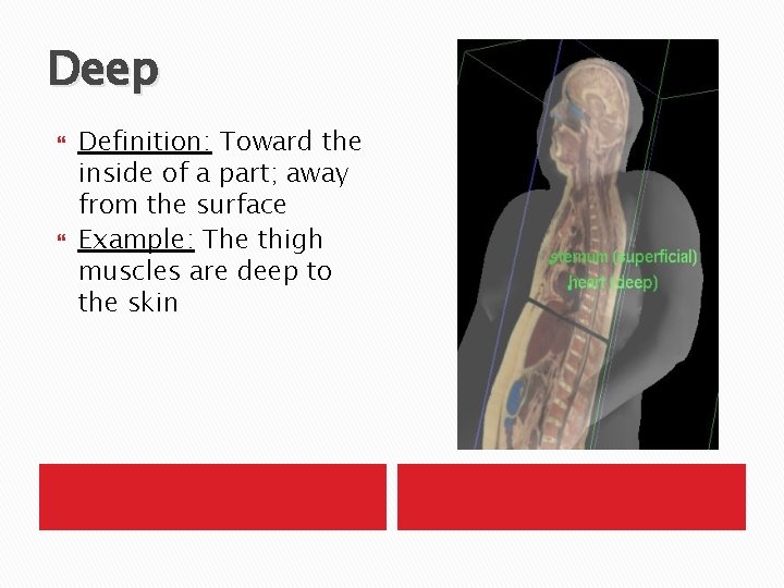Deep Definition: Toward the inside of a part; away from the surface Example: The