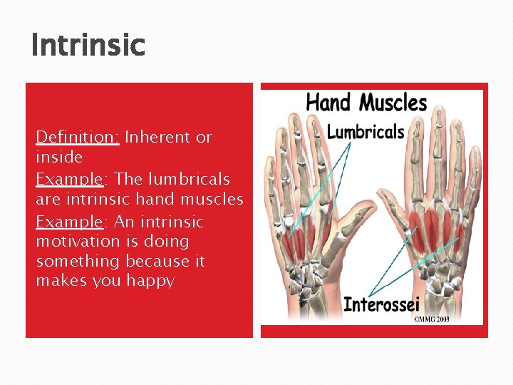 Intrinsic Definition: Inherent or inside Example: The lumbricals are intrinsic hand muscles Example: An