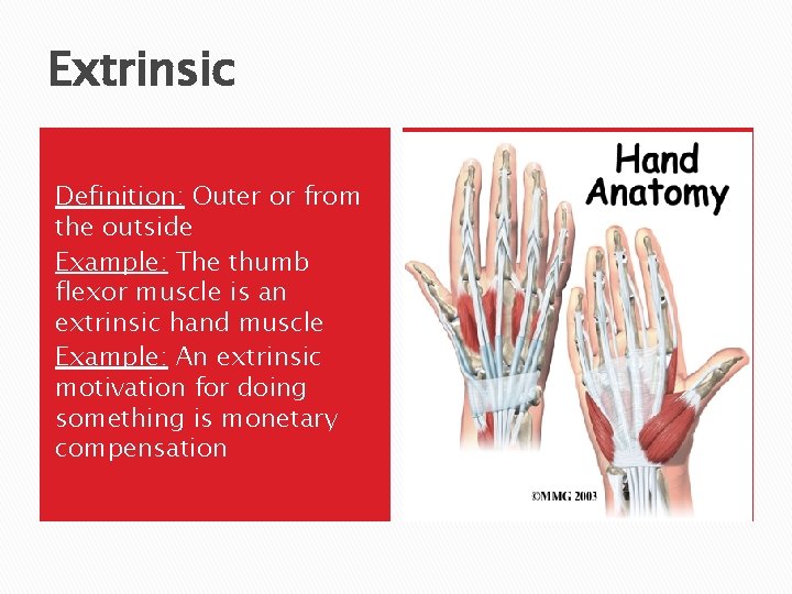 Extrinsic Definition: Outer or from the outside Example: The thumb flexor muscle is an