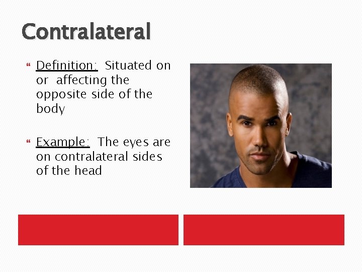 Contralateral Definition: Situated on or affecting the opposite side of the body Example: The