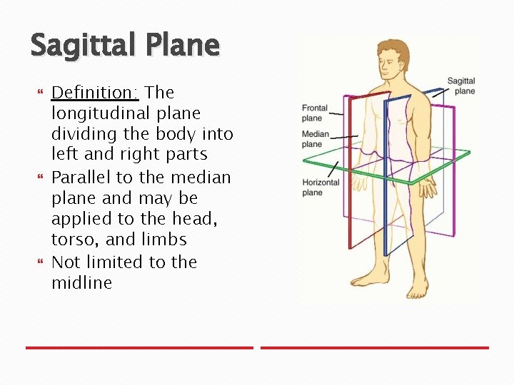 Sagittal Plane Definition: The longitudinal plane dividing the body into left and right parts