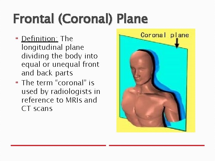 Frontal (Coronal) Plane Definition: The longitudinal plane dividing the body into equal or unequal