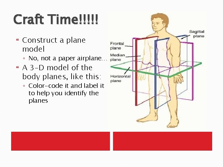 Craft Time!!!!! Construct a plane model ◦ No, not a paper airplane… A 3