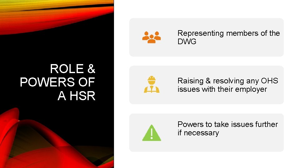 Representing members of the DWG ROLE & POWERS OF A HSR Raising & resolving