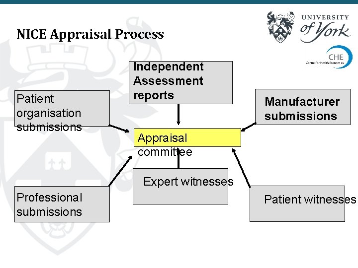 NICE Appraisal Process Patient organisation submissions Independent Assessment reports Manufacturer submissions Appraisal committee Expert