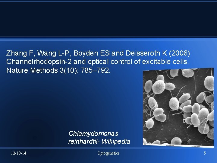 Zhang F, Wang L-P, Boyden ES and Deisseroth K (2006) Channelrhodopsin-2 and optical control