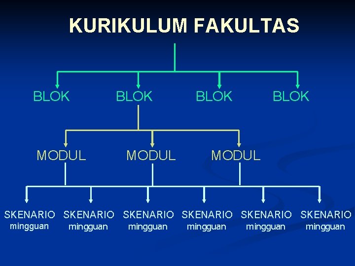 KURIKULUM FAKULTAS BLOK MODUL SKENARIO SKENARIO mingguan mingguan 