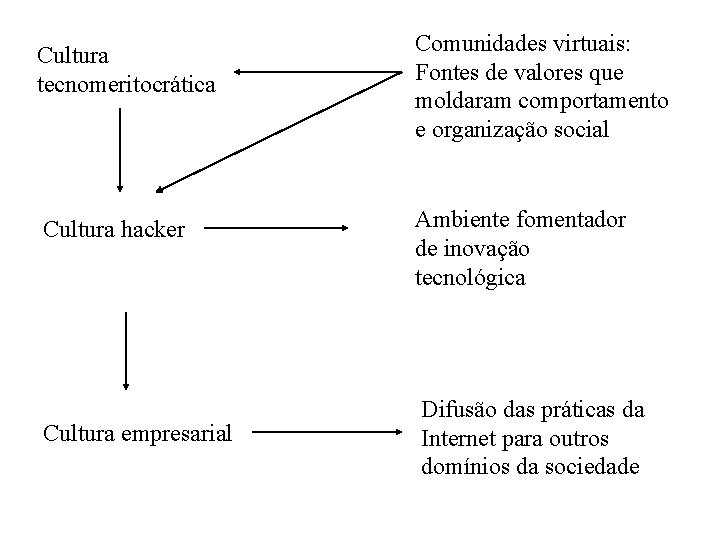 Cultura tecnomeritocrática Comunidades virtuais: Fontes de valores que moldaram comportamento e organização social Cultura