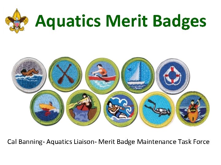 Aquatics Merit Badges Cal Banning- Aquatics Liaison- Merit Badge Maintenance Task Force 