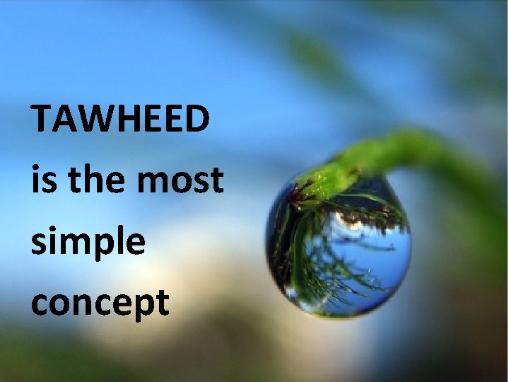 TAWHEED is the most simple concept 