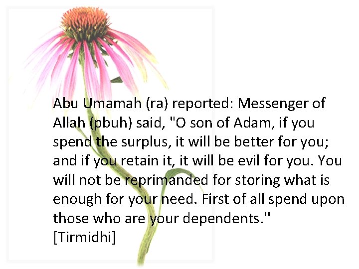 Abu Umamah (ra) reported: Messenger of Allah (pbuh) said, "O son of Adam, if
