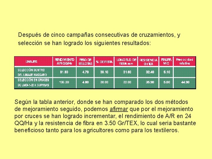 Después de cinco campañas consecutivas de cruzamientos, y selección se han logrado los siguientes