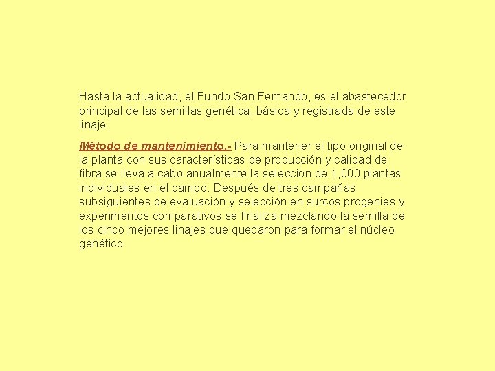 Hasta la actualidad, el Fundo San Fernando, es el abastecedor principal de las semillas